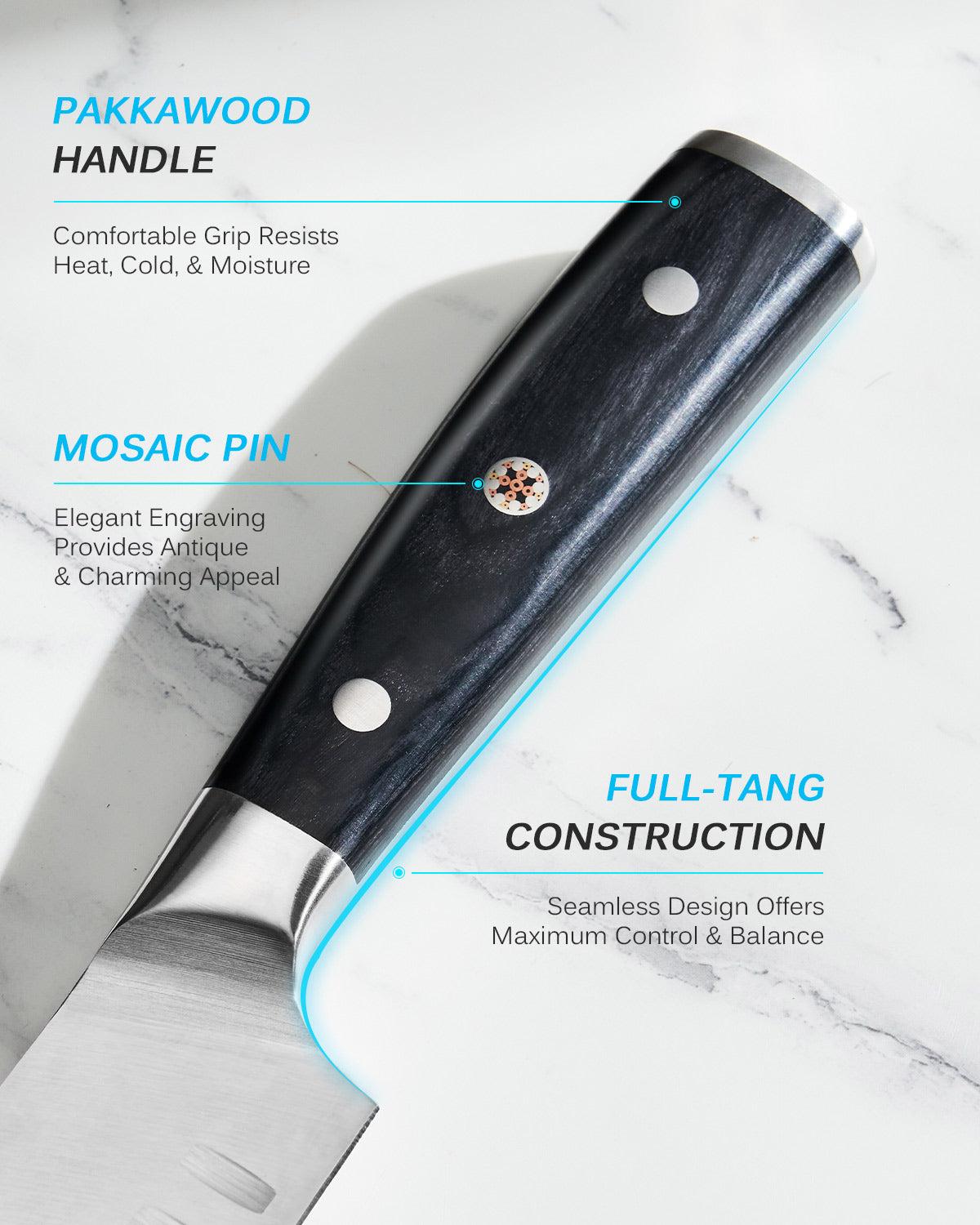 10" Bullnose Butcher Knife | Samurai Series Kyoku Knives