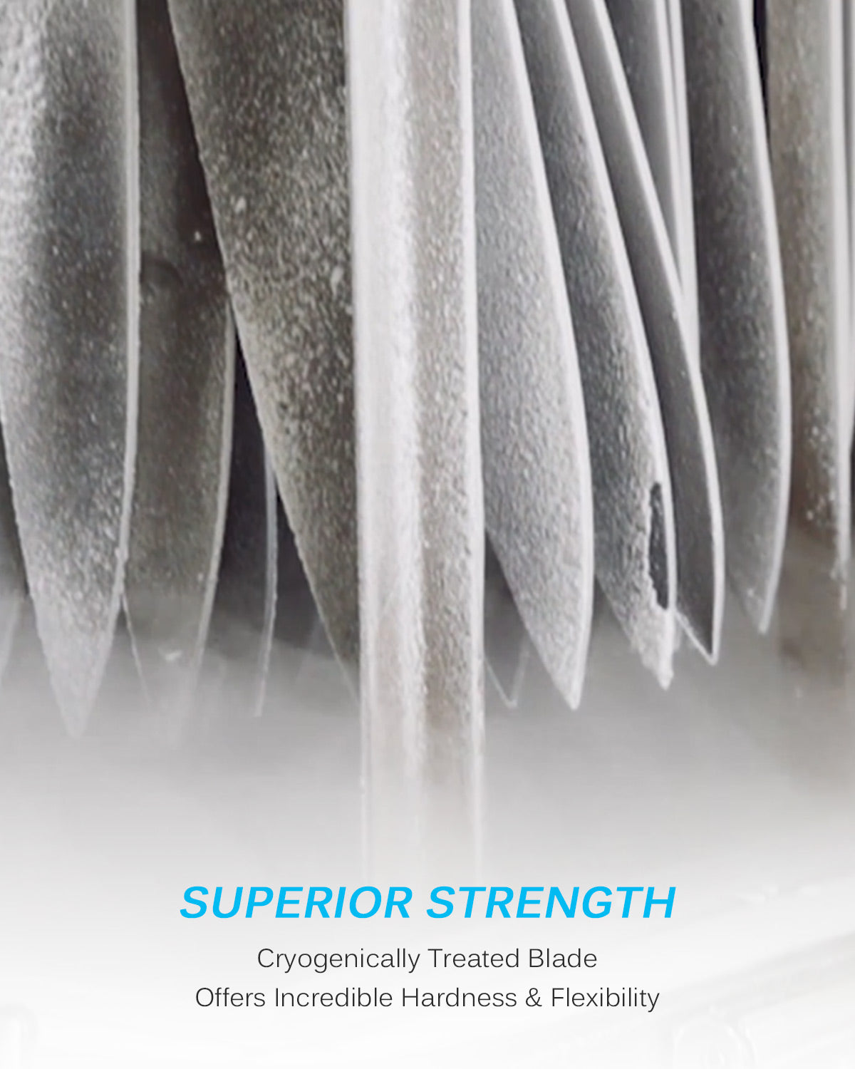 10" Serrated Bread Knife | Samurai Series Kyoku Knives