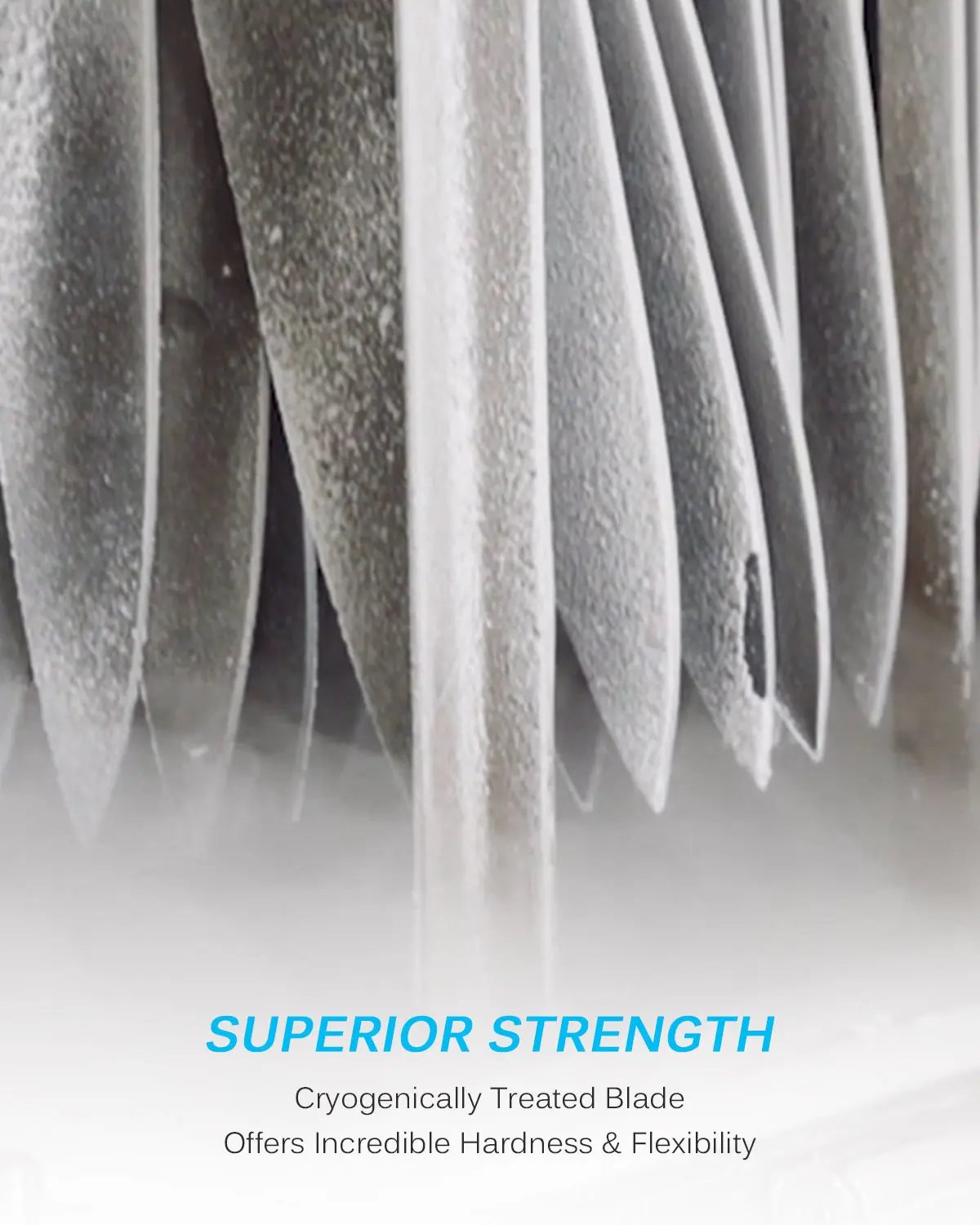 8.5" Kiritsuke Knife | Samurai Series Kyoku Knives