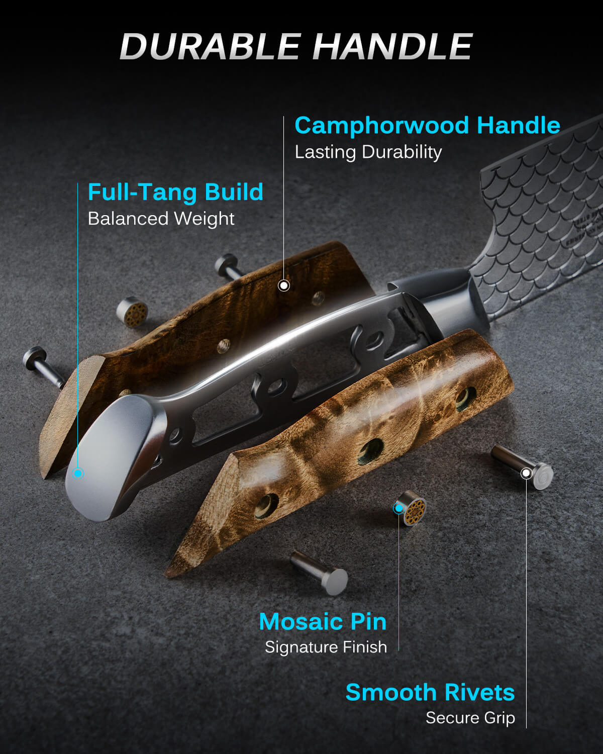 8.5" Kiritsuke Knife VG10 Steel For Gift | KOI Series