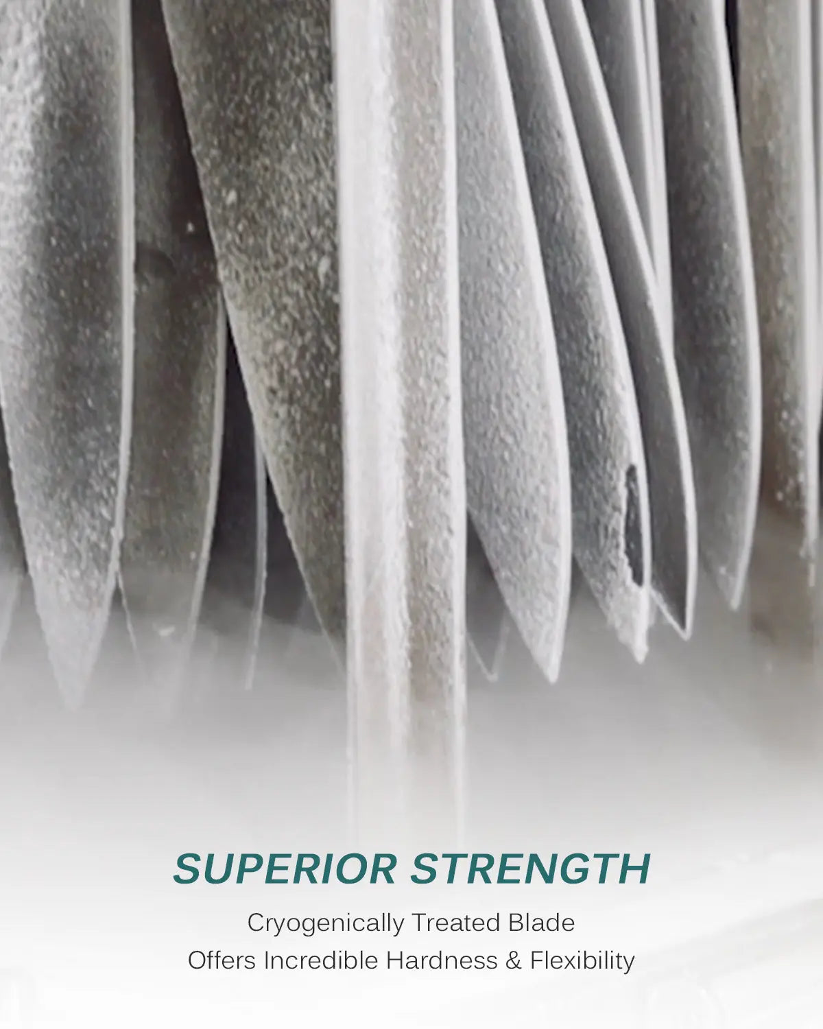 8" Chef Knife with Sharpening Stone | Samurai Series Kyoku Knives