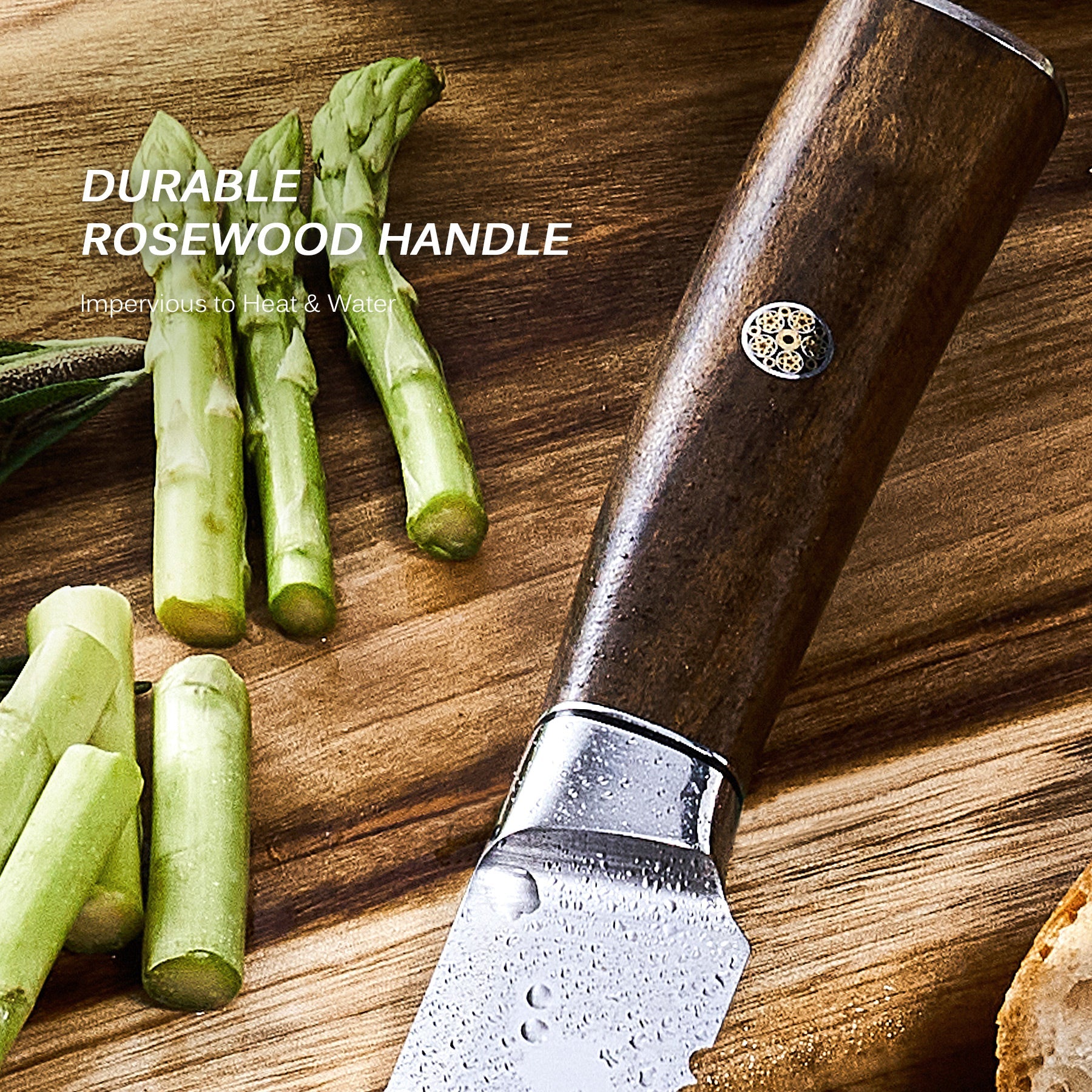 Japanese Bread Knives 440C Steel | Daimyo Series | Kyoku Knives