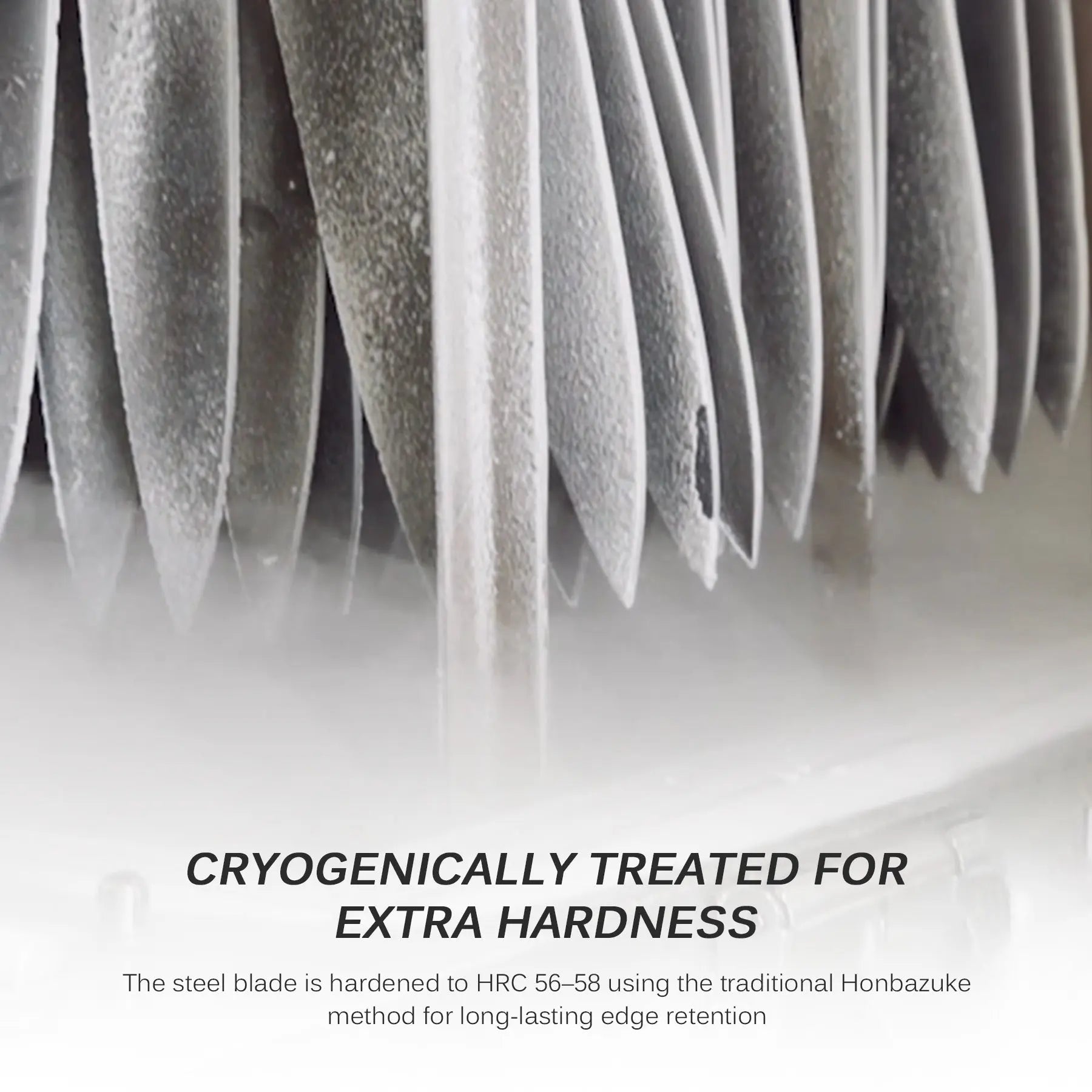 Bundle For Asian Cuisine, Kiritsuke Knife+ Yanagiba Knife| Shogun Samurai Series Kyoku Knives